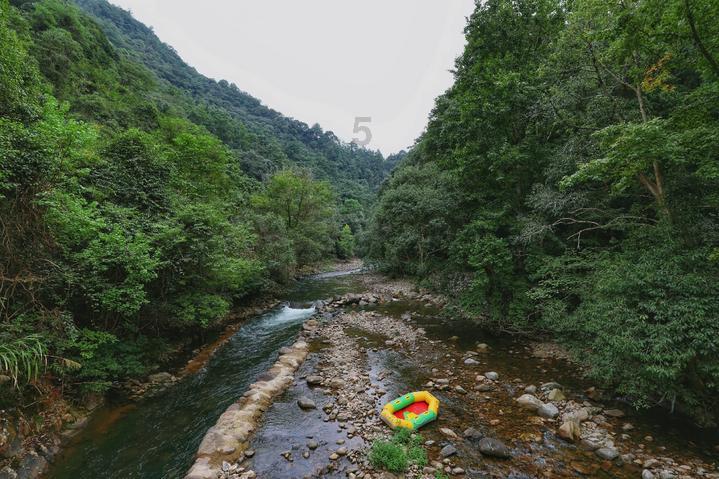 邮报：埃弗顿新球场周边店面引争夺，一中餐外卖店已找到新址