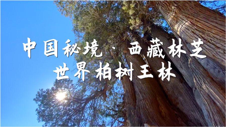 影视工厂