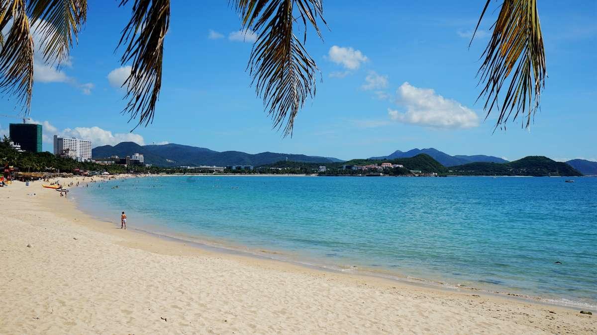虫虫助手下载