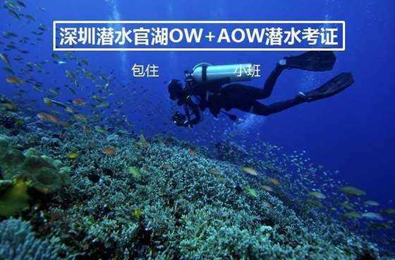 变异动物之战