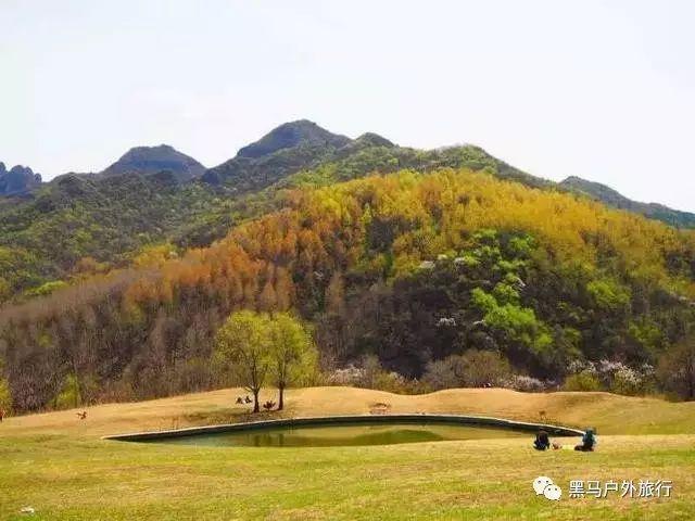救援自行车骑手