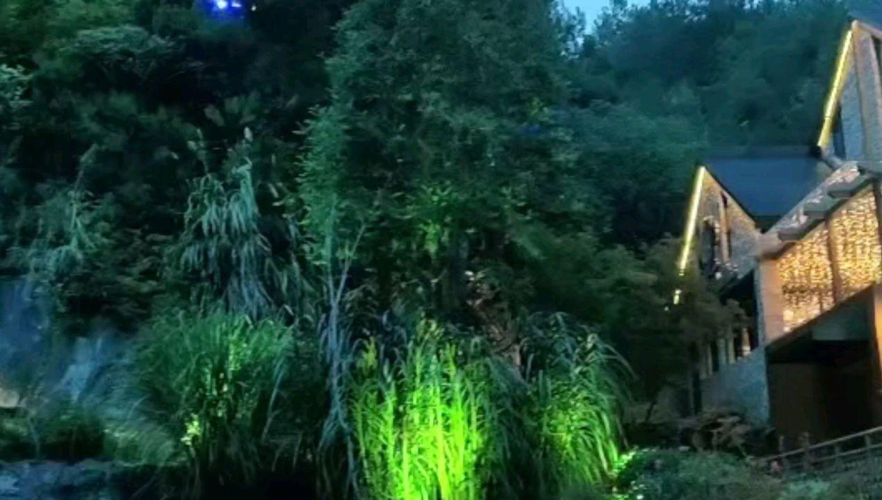 关于狂犬病游戏画面